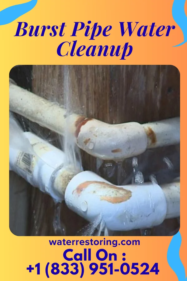 Burst Pipe Water Cleanup in Marshallville, GA