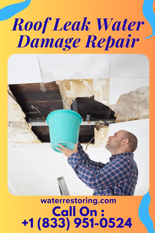 Roof Leak Water Damage Repair in Marshallville, GA