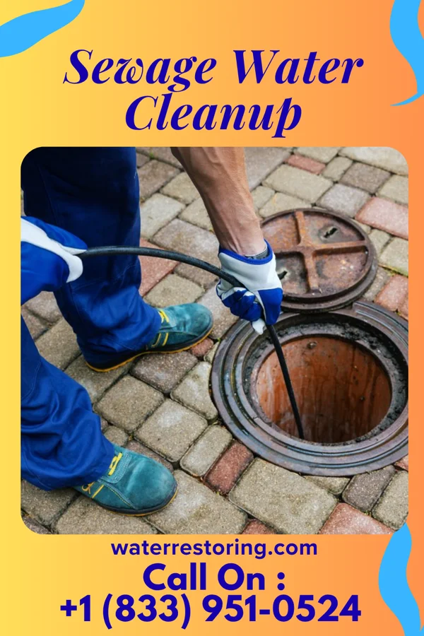 Sewage Water Cleanup in Marshallville, GA